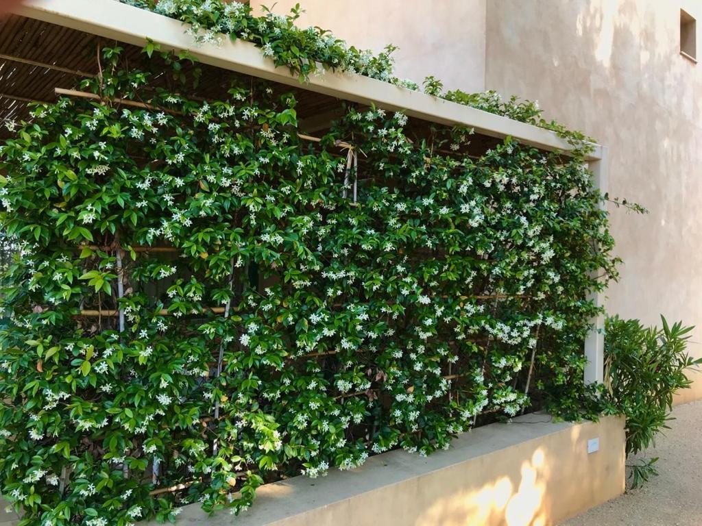 Case Graffeo Menfi Exterior photo
